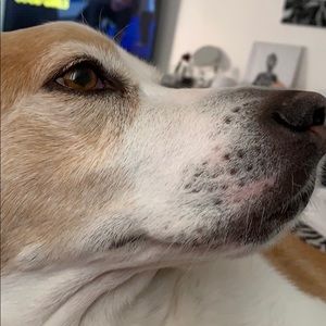 Meet your Posher, Hailey